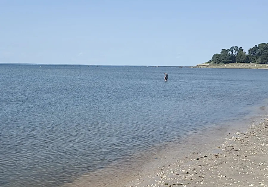 bather in water.png