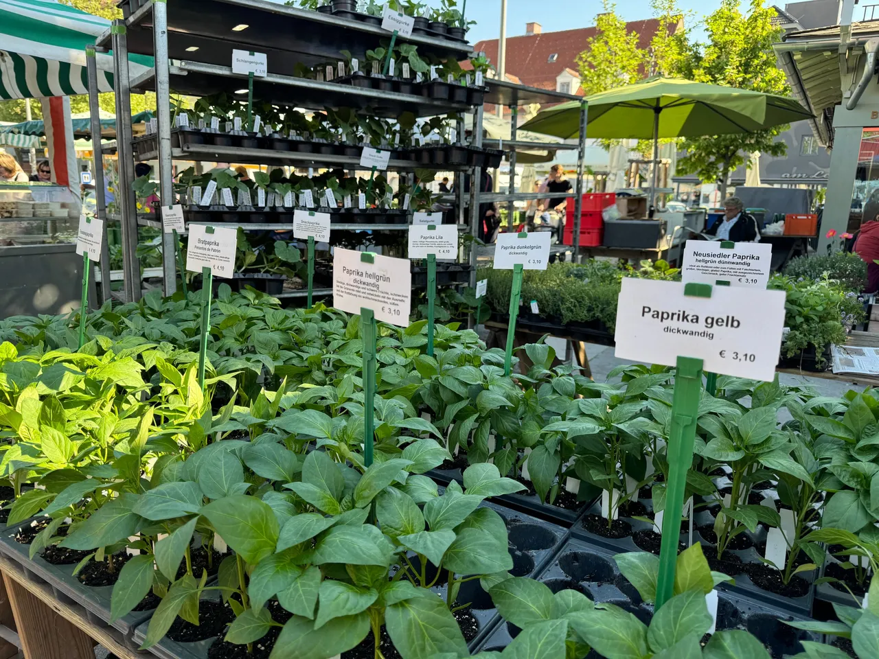 Always nice to walk aroun a local market