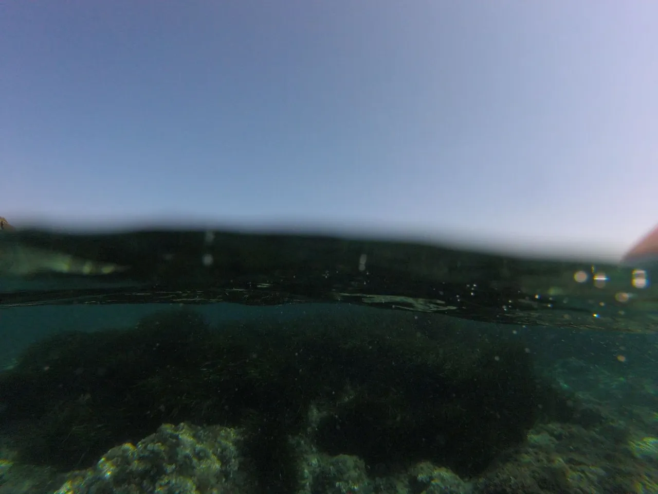 IMG-20180731-WA0024.jpg