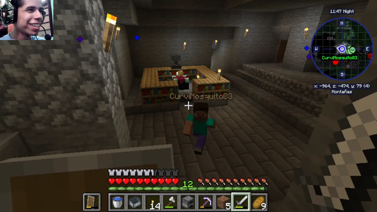 Snapshot_25.png