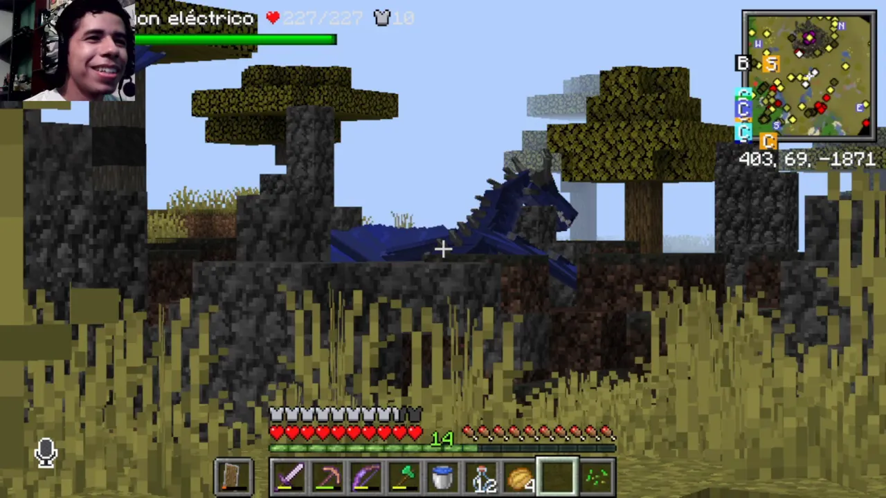 Snapshot_49.png
