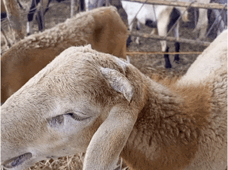 20220821_184612.gif