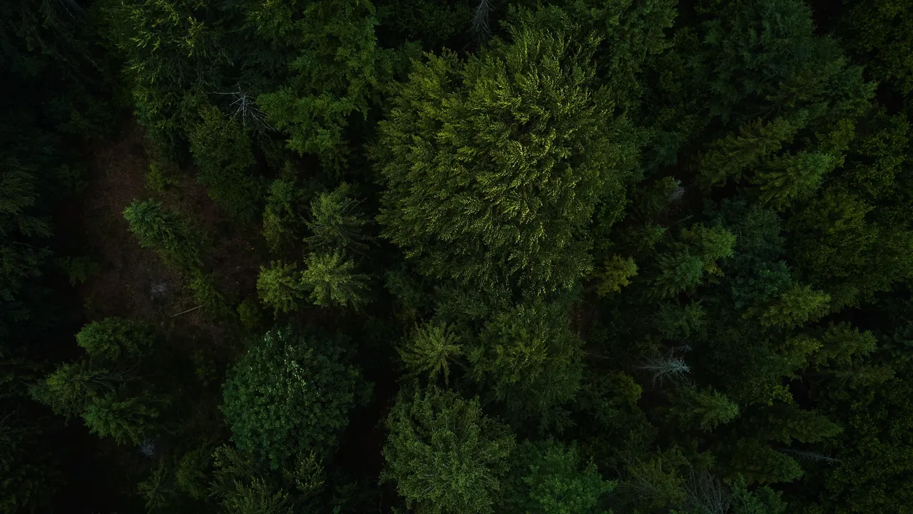 DJI_0066.jpg