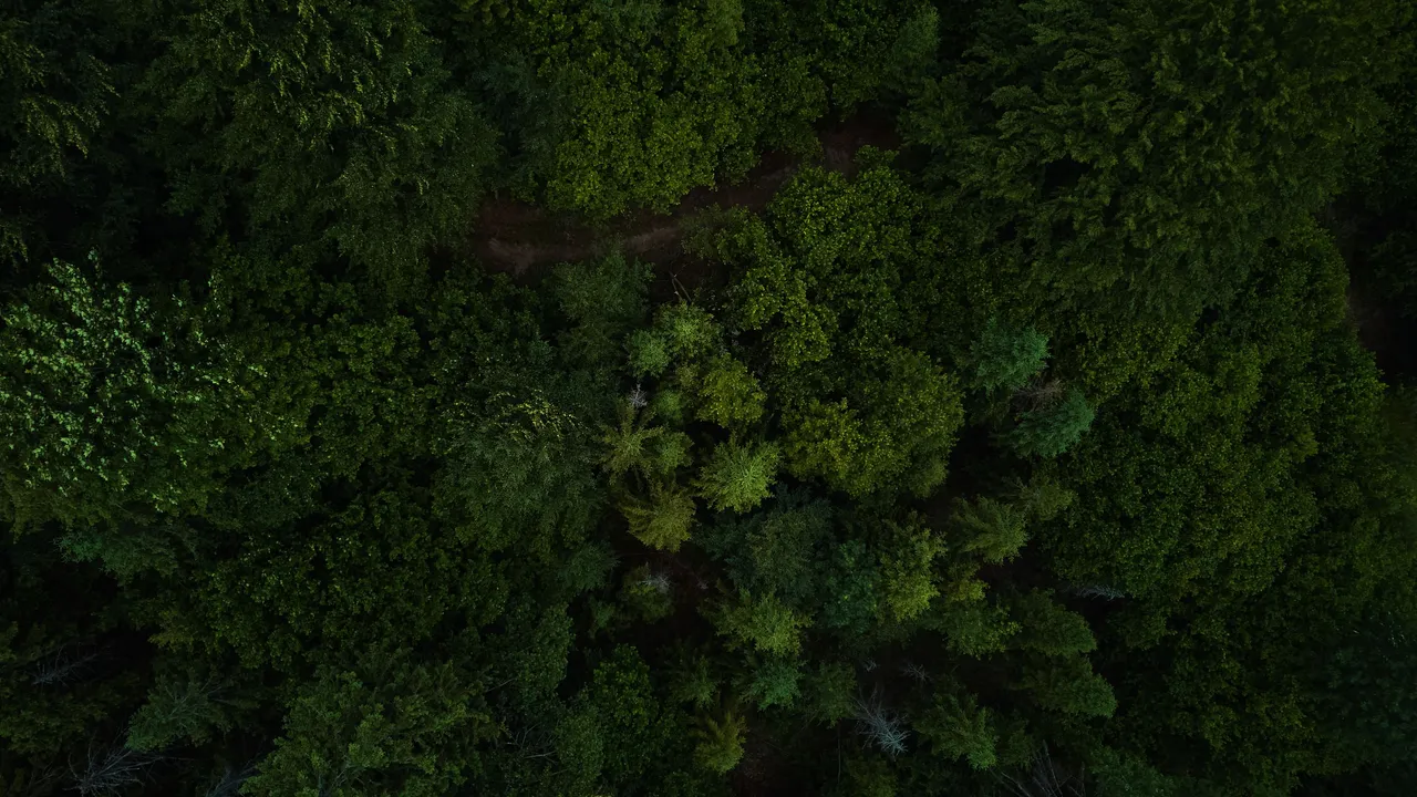 DJI_0067.jpg