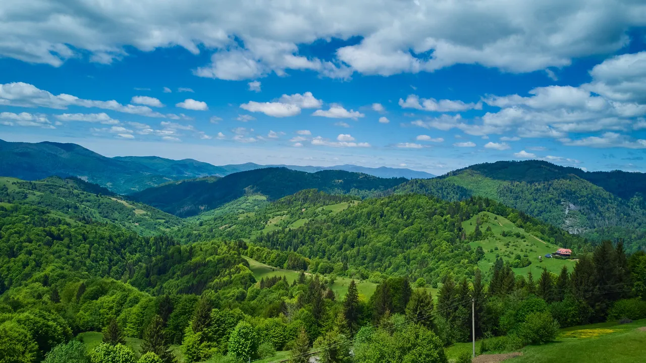 DJI_0789.jpg