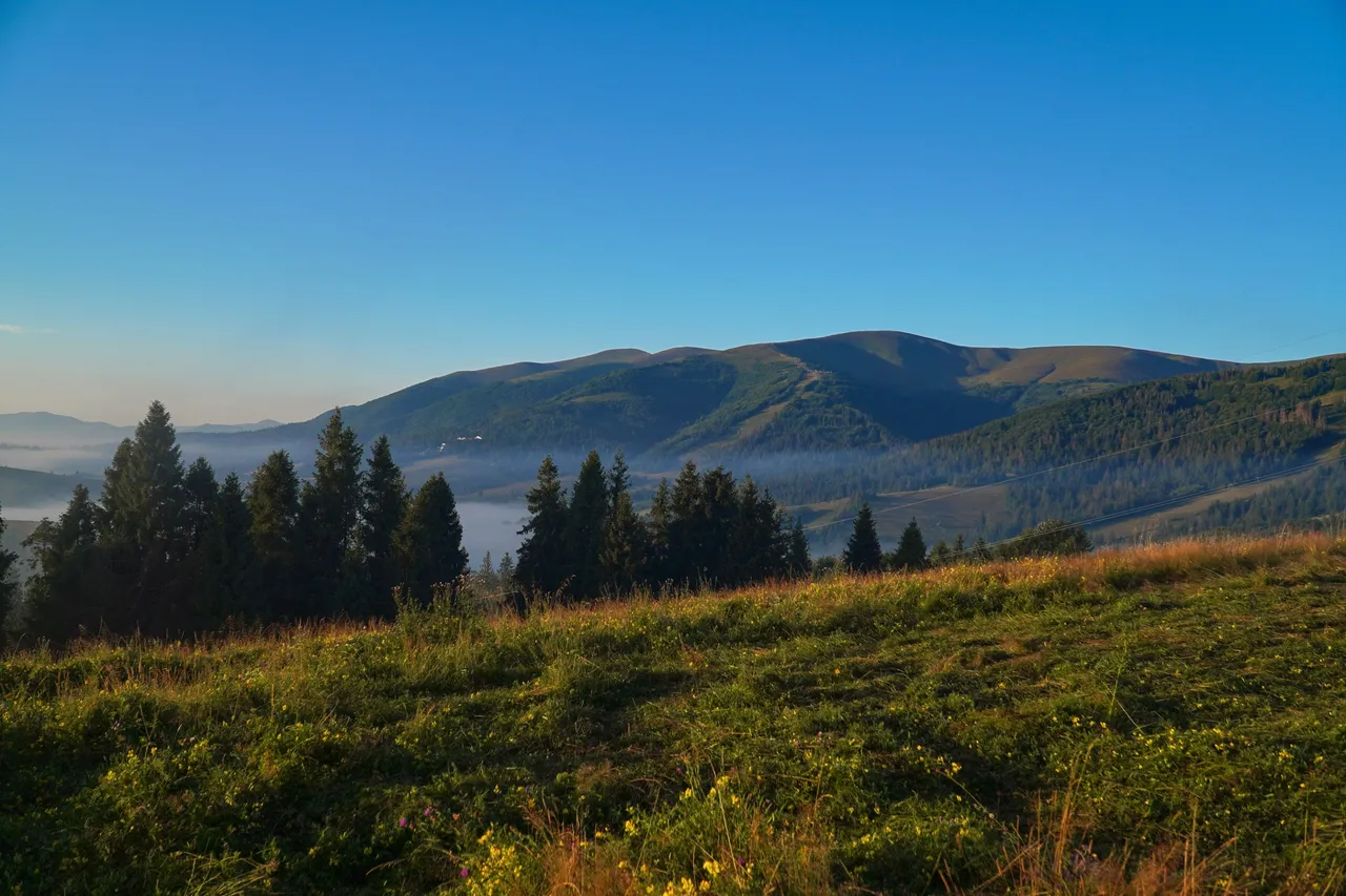 DSC09068 121.jpg