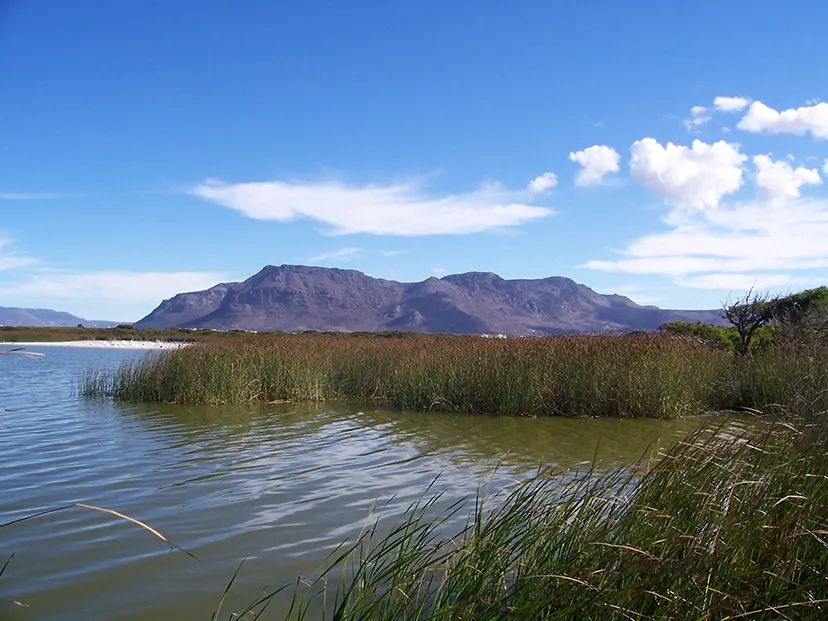 The vlei during the day.png