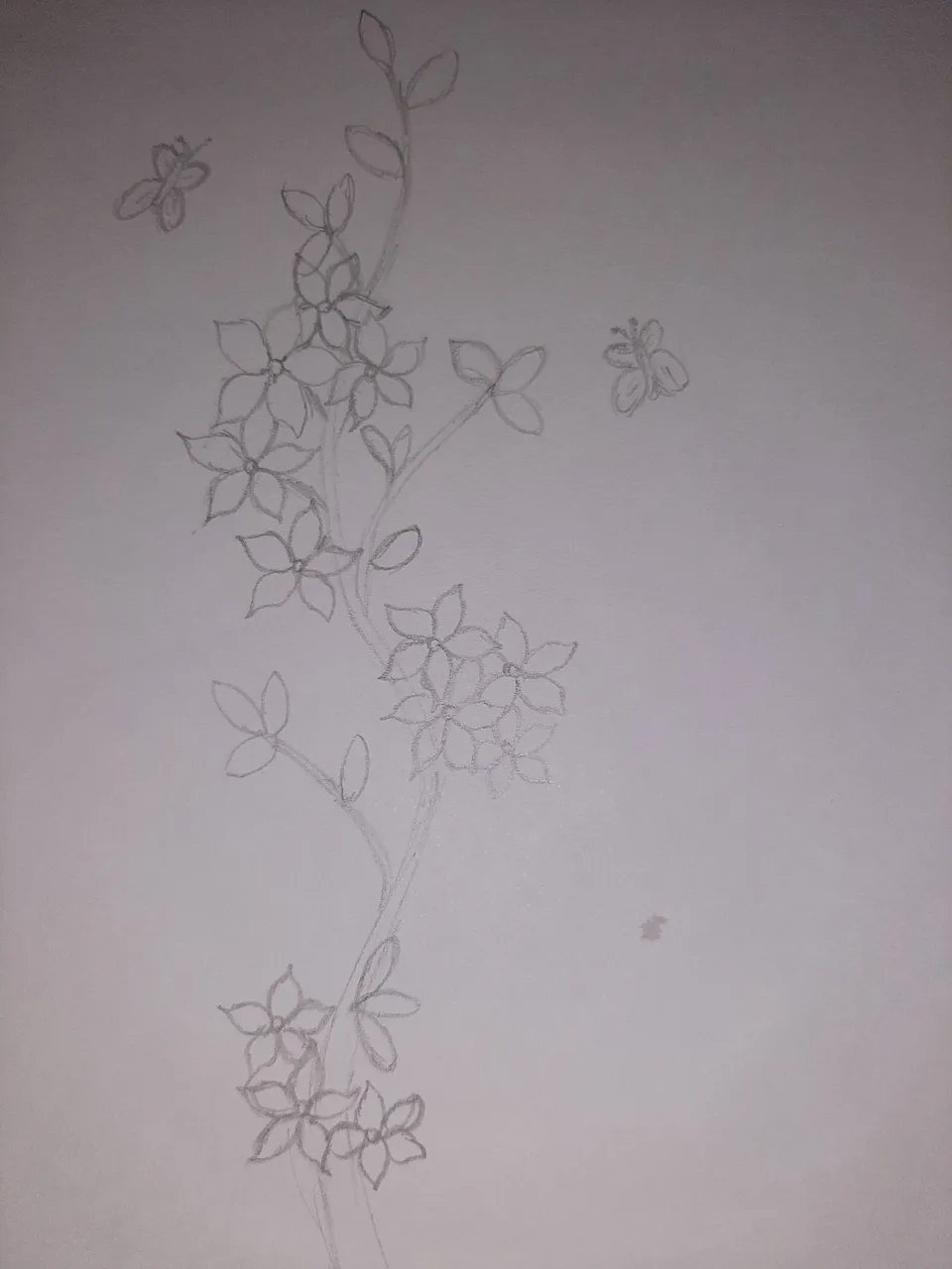 20220429_100949.jpg