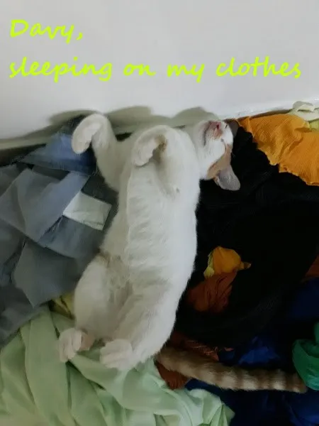 sleeping on my clothes.jpg