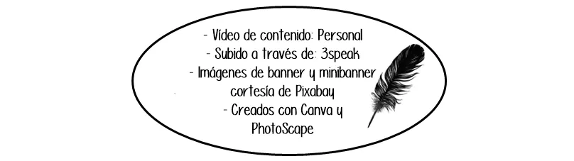 derechos de autor personal video.png