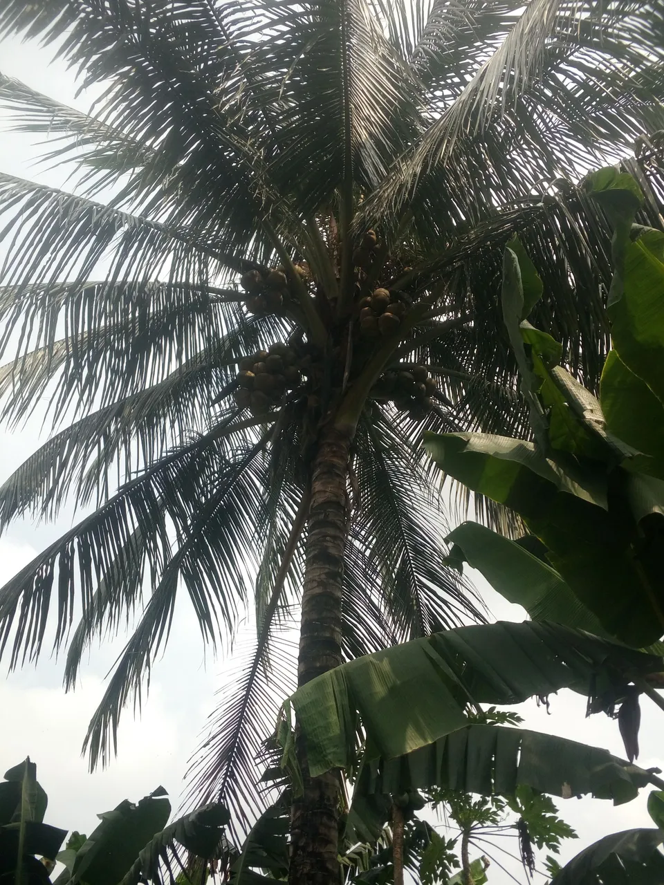 IMG_20220112_110223.jpg