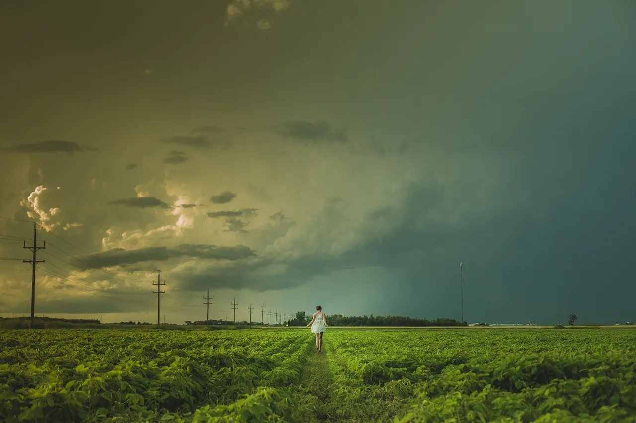 field-847647_1920.jpg