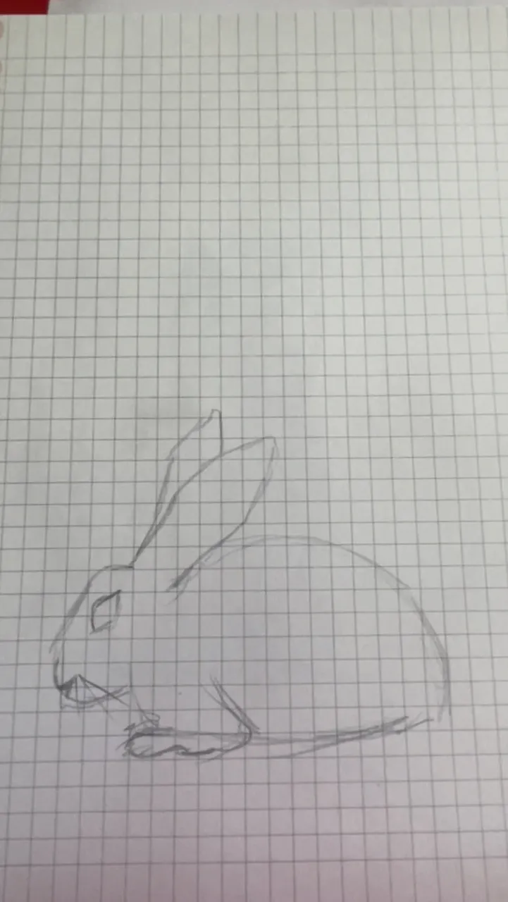 61A7D8C5-E396-4569-A4DD-D44621573ADE.jpeg