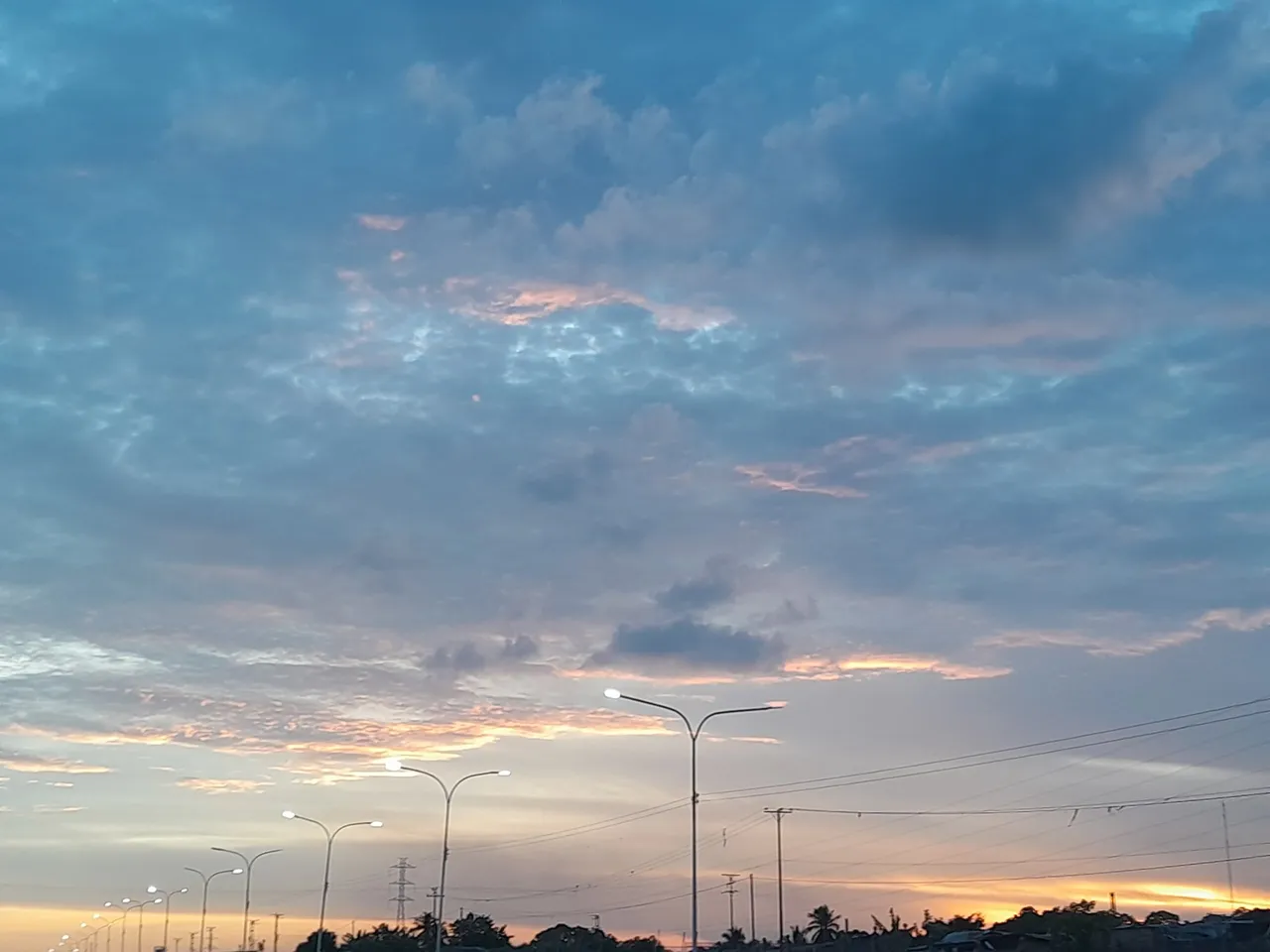 1000595495.jpg
