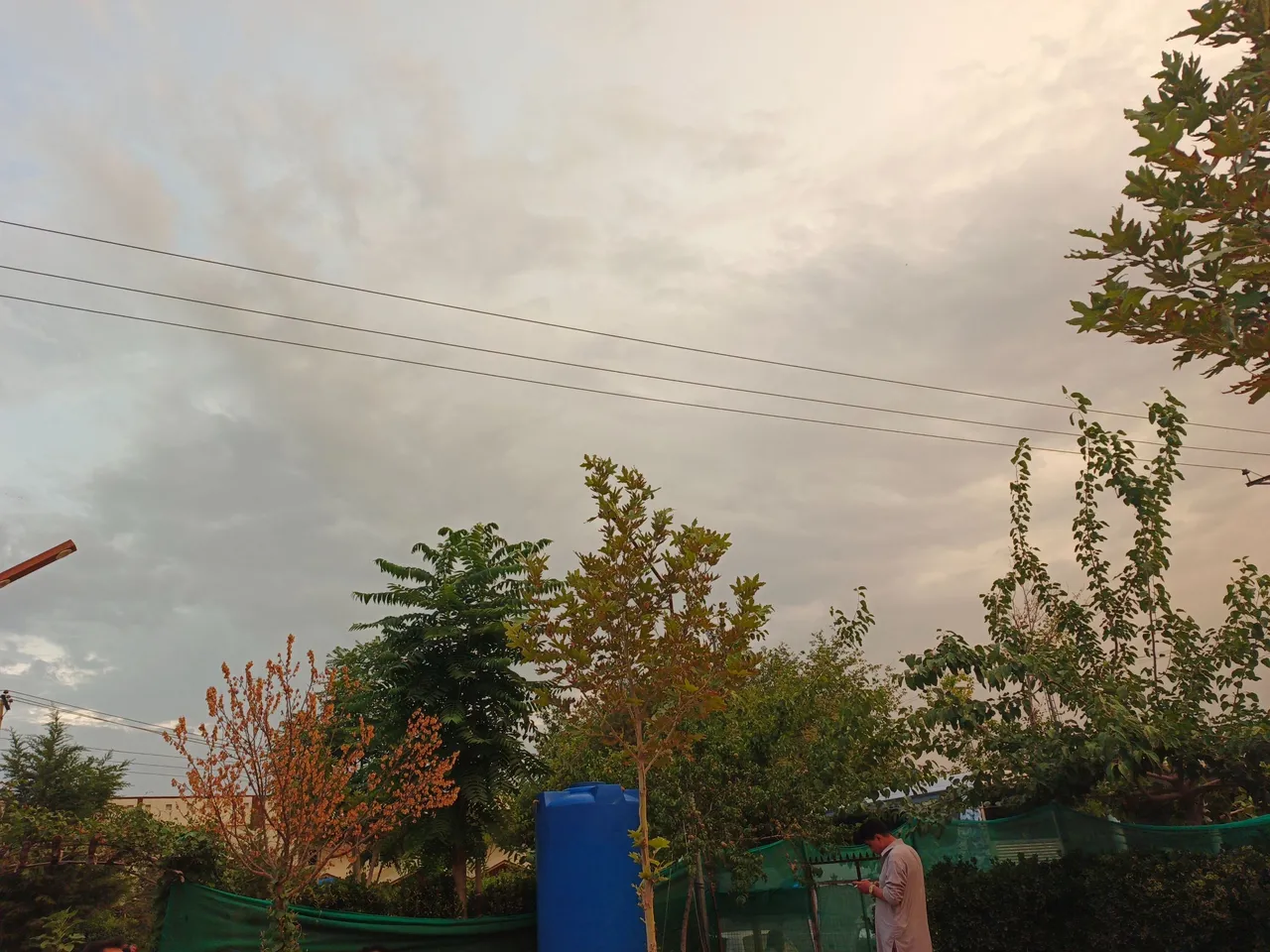 IMG_20250720_193136_896.jpg