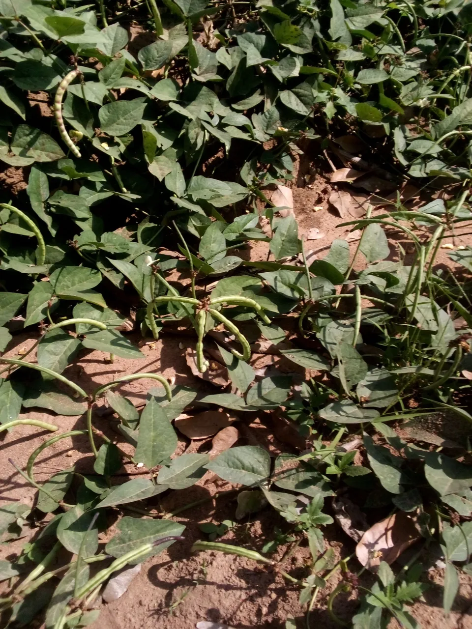 IMG_20221107_101658_628.jpg