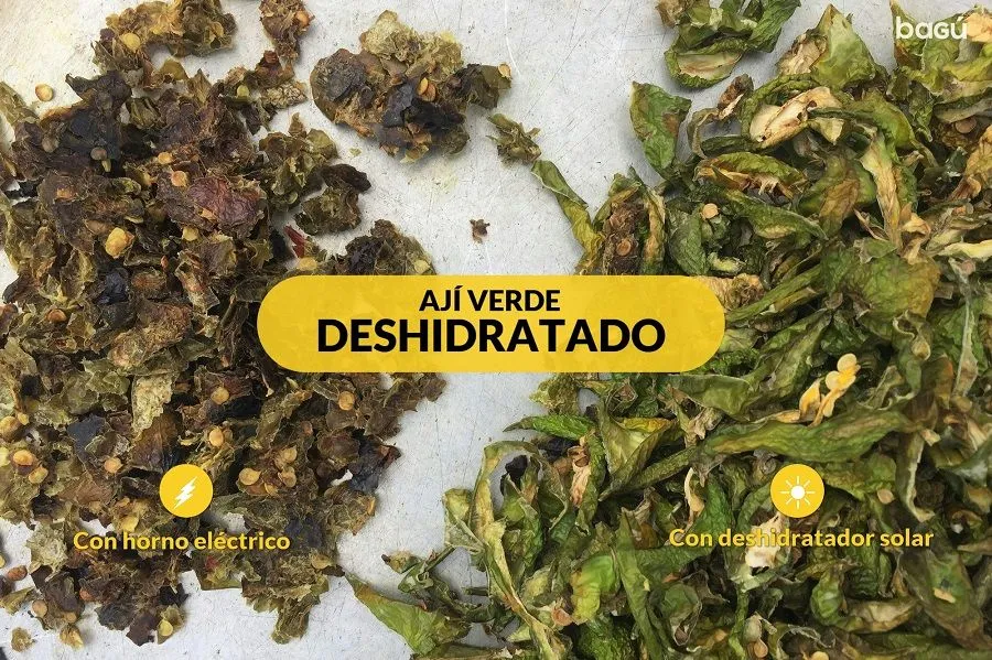 Sin título1.jpg