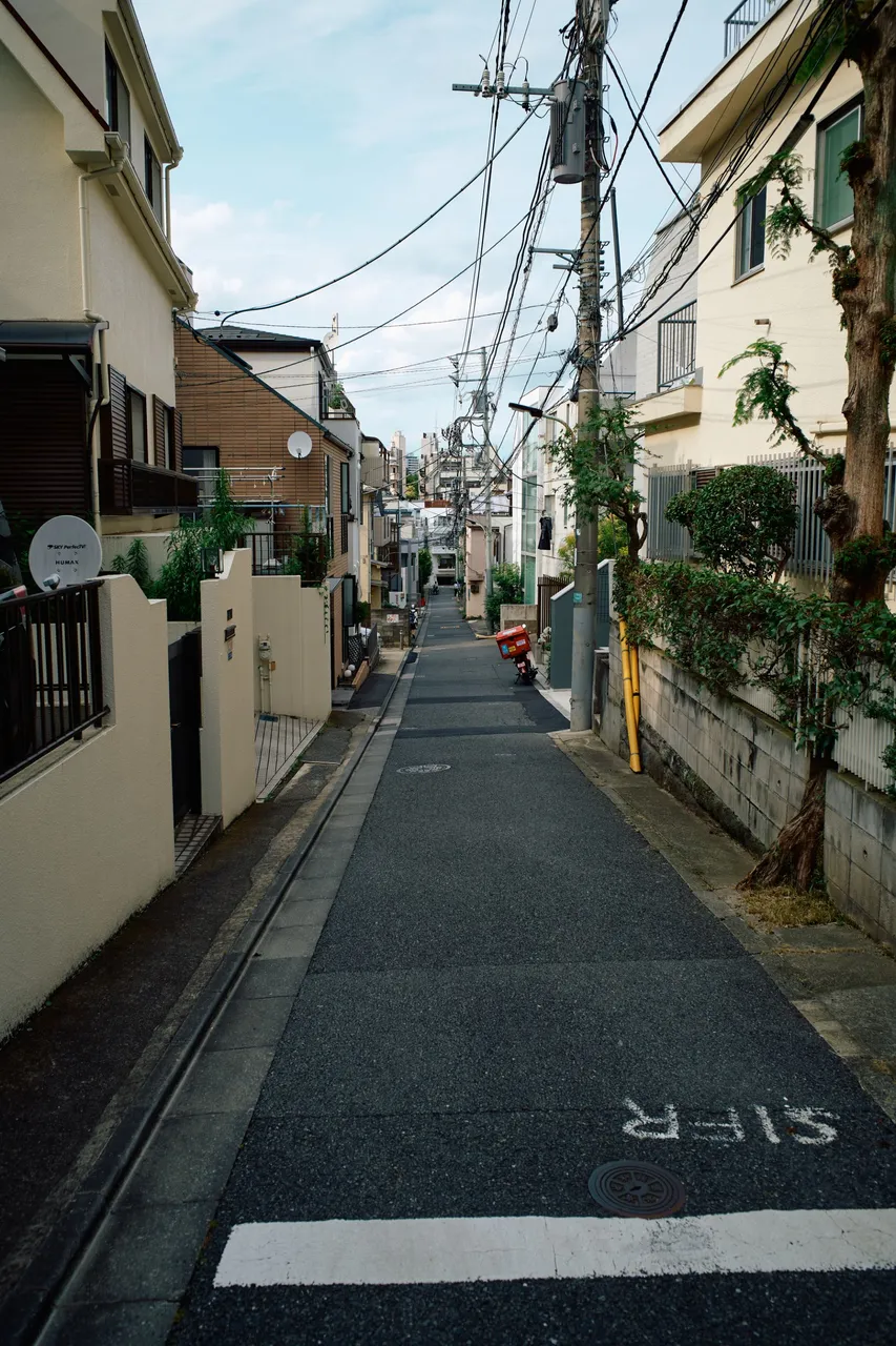 SDIM2669.jpg
