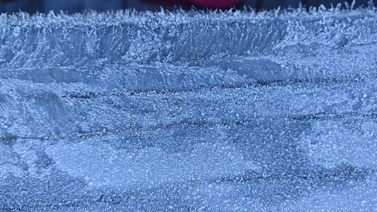 1000014989.jpg
