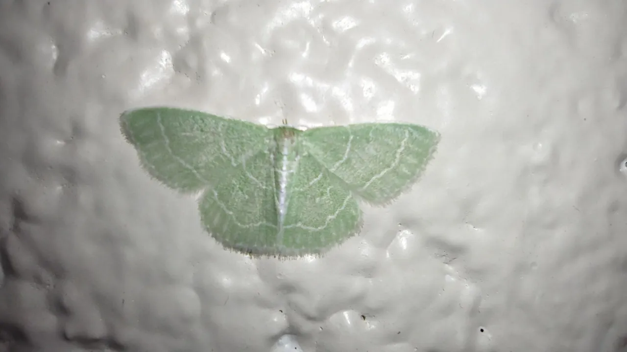 1000015760.jpg