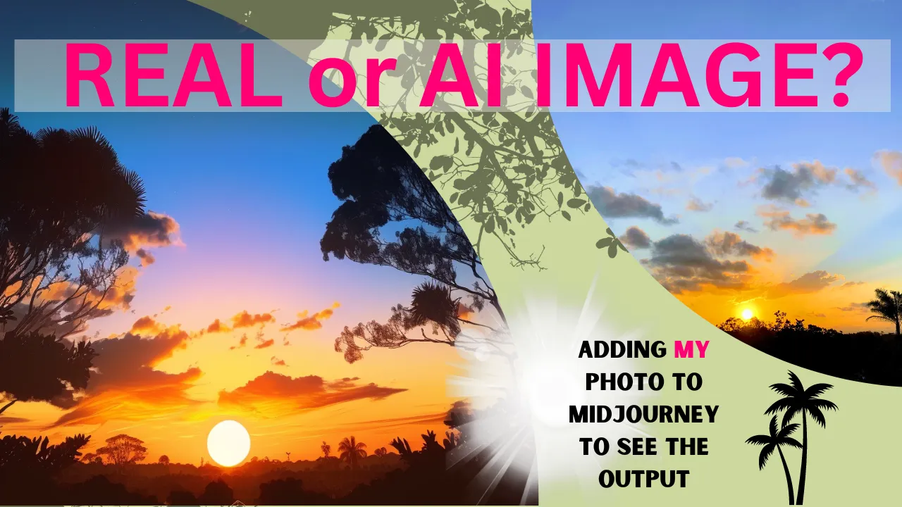 CANVA (11)dddd.png