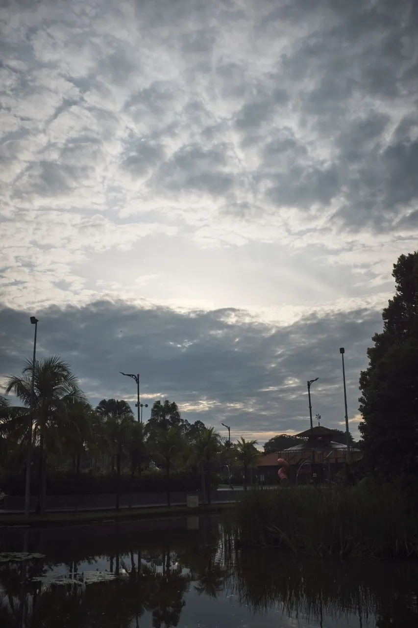 DSCF8098r.jpg