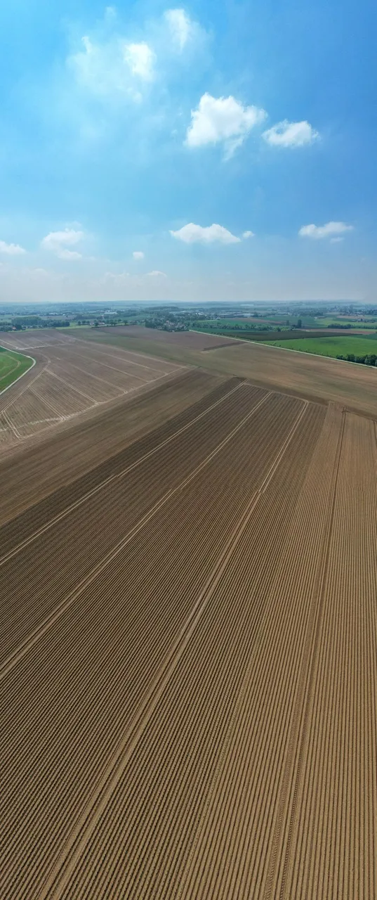 DJI_0426.jpg