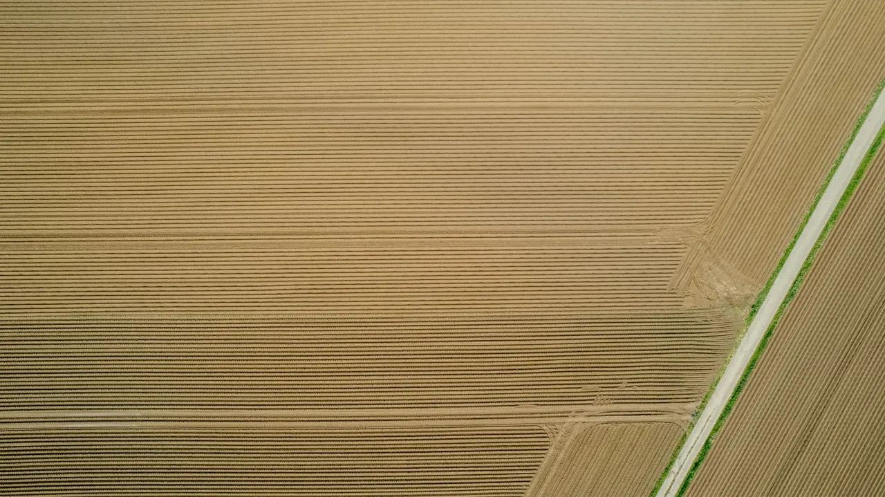 DJI_0441-HDR.jpg