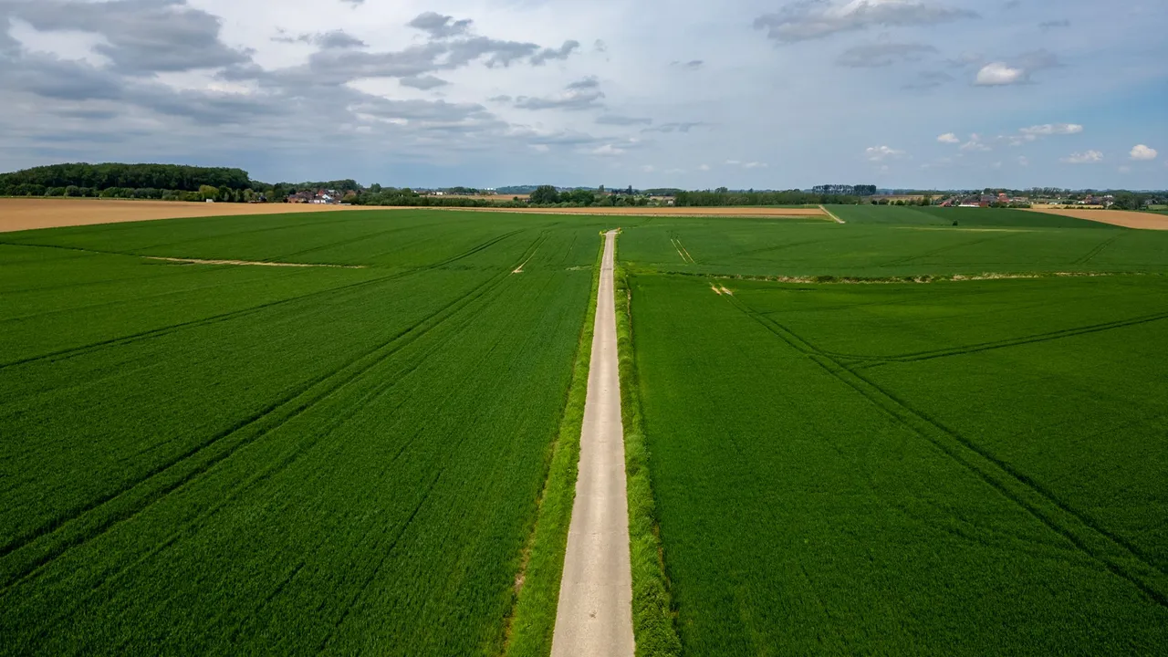 DJI_0036-HDR.jpg