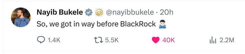 bukele_blackrock_tweet.png