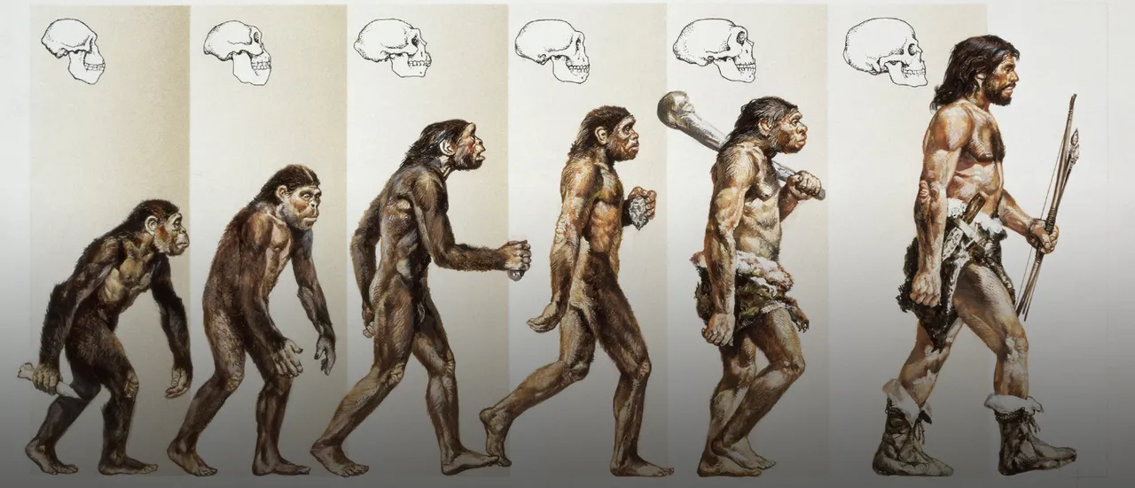 evolution.png