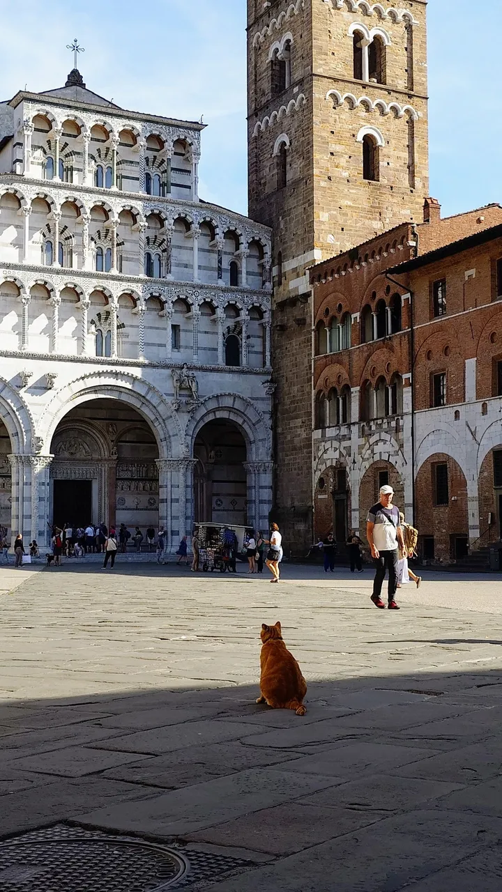 20231003_150101.JPG