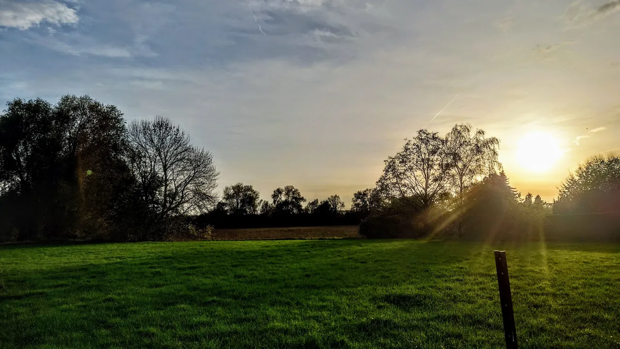 20221031_162333.JPG