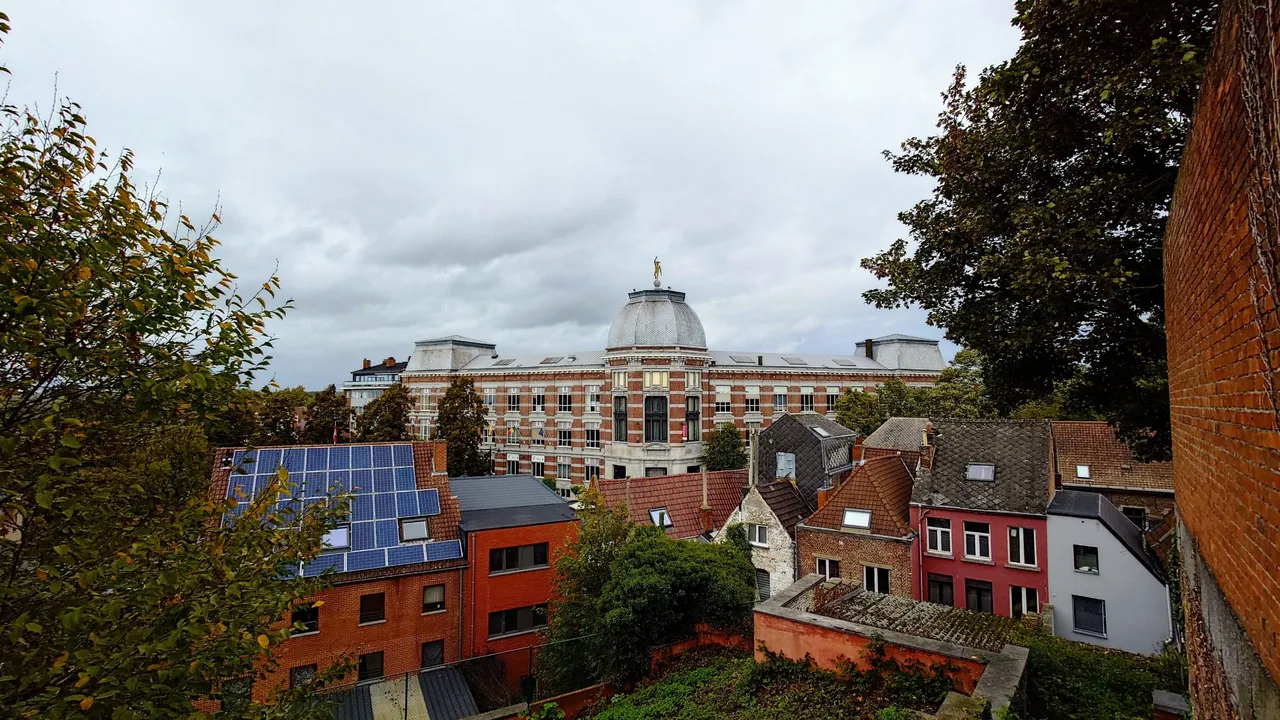 20231021_142431.JPG
