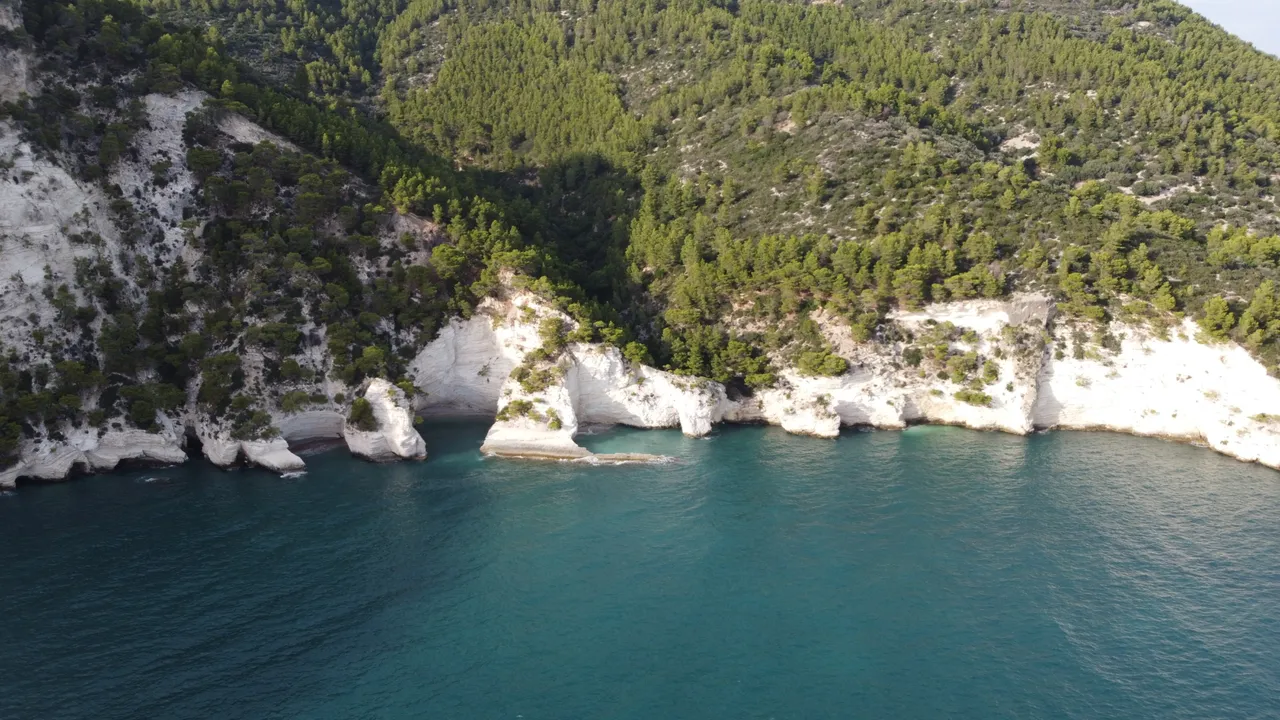 DJI_0335.jpeg