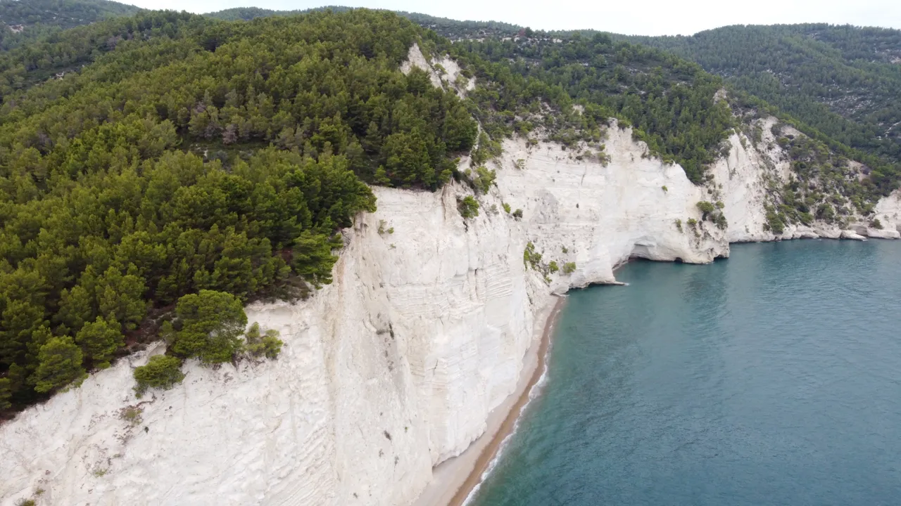 DJI_0238.jpeg