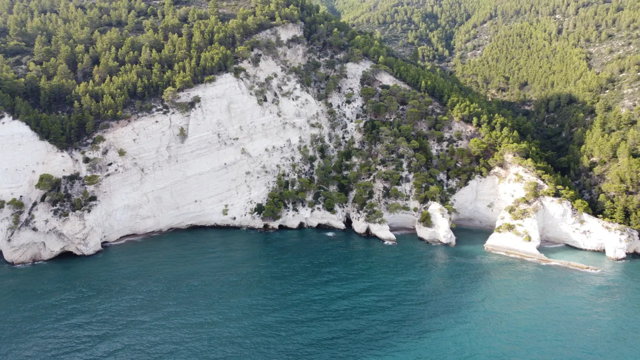 DJI_0337.jpeg