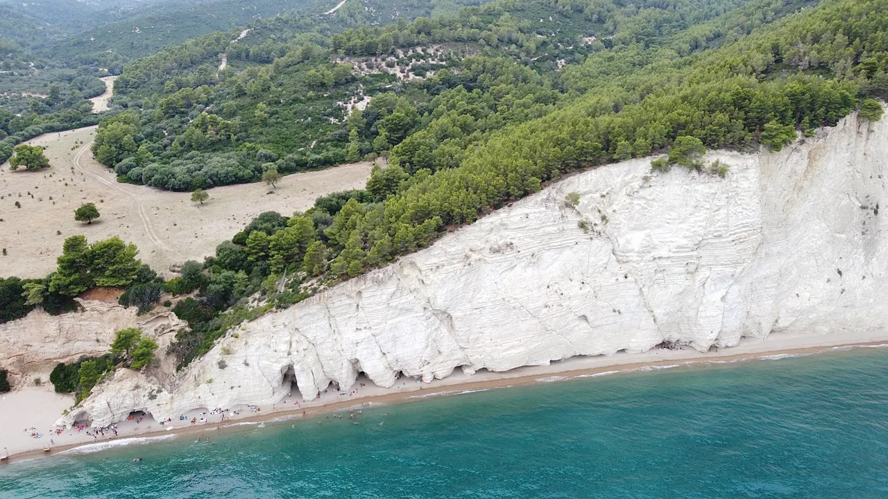 DJI_0241.jpeg