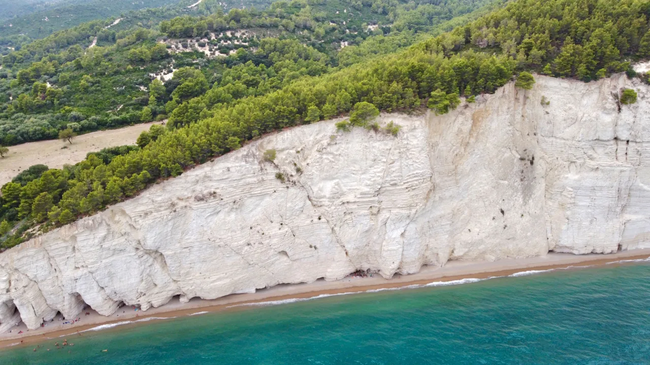 DJI_0244.jpeg