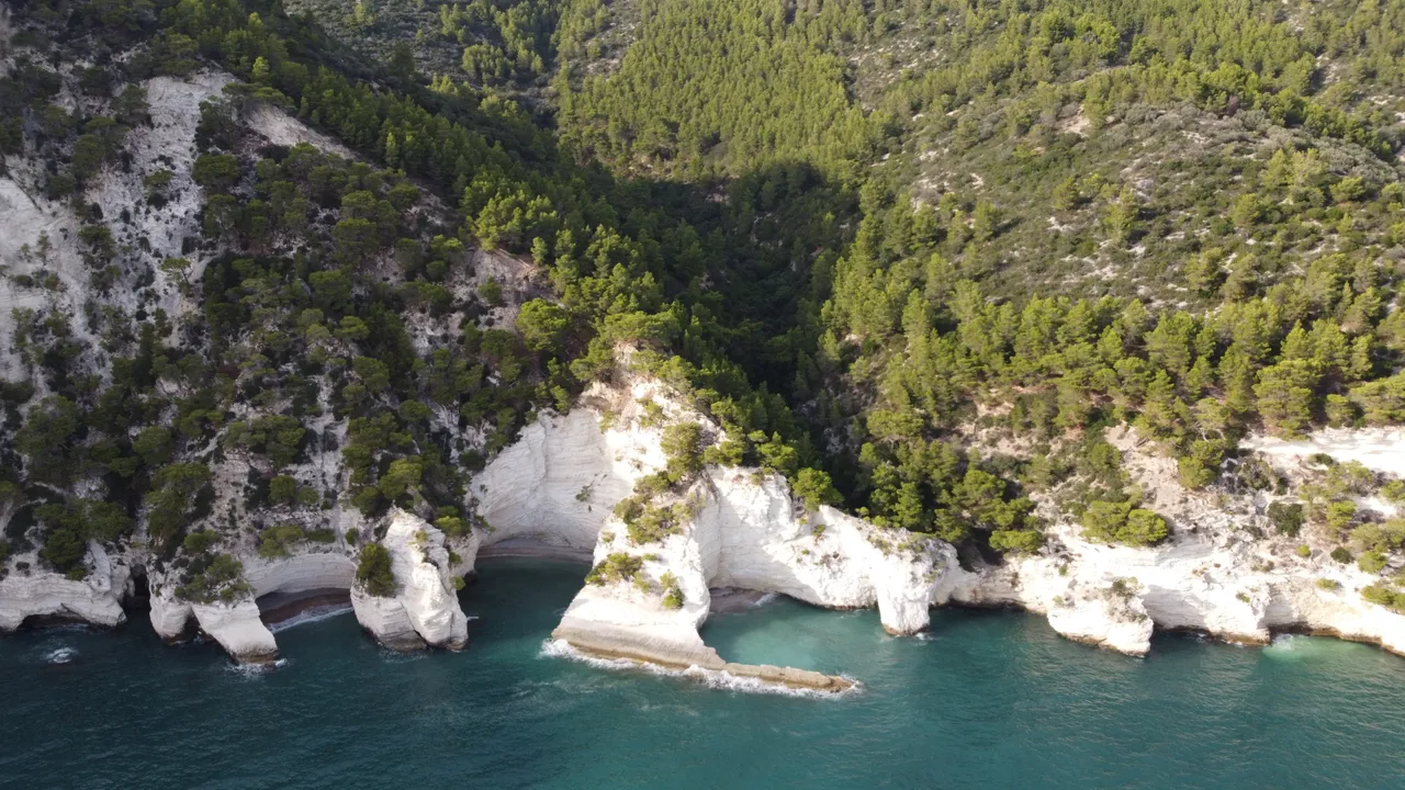 DJI_0340.jpeg