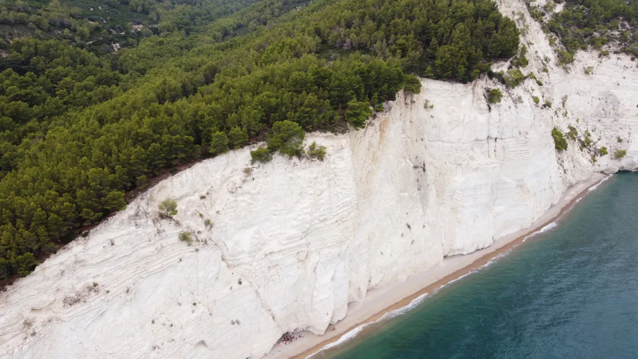 DJI_0239.jpeg