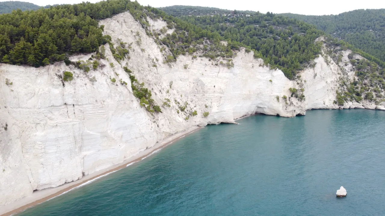 DJI_0251.jpeg