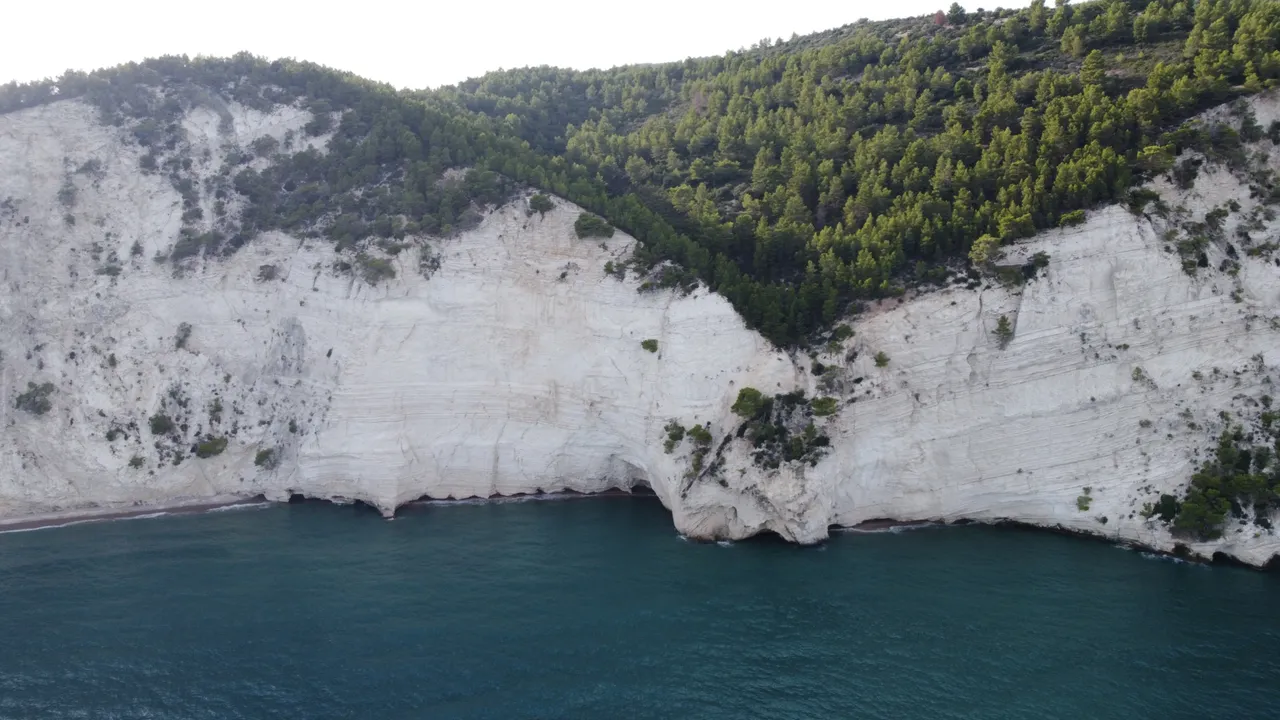 DJI_0336.jpeg