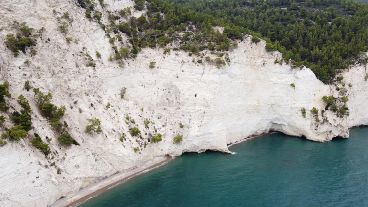 DJI_0258.jpeg