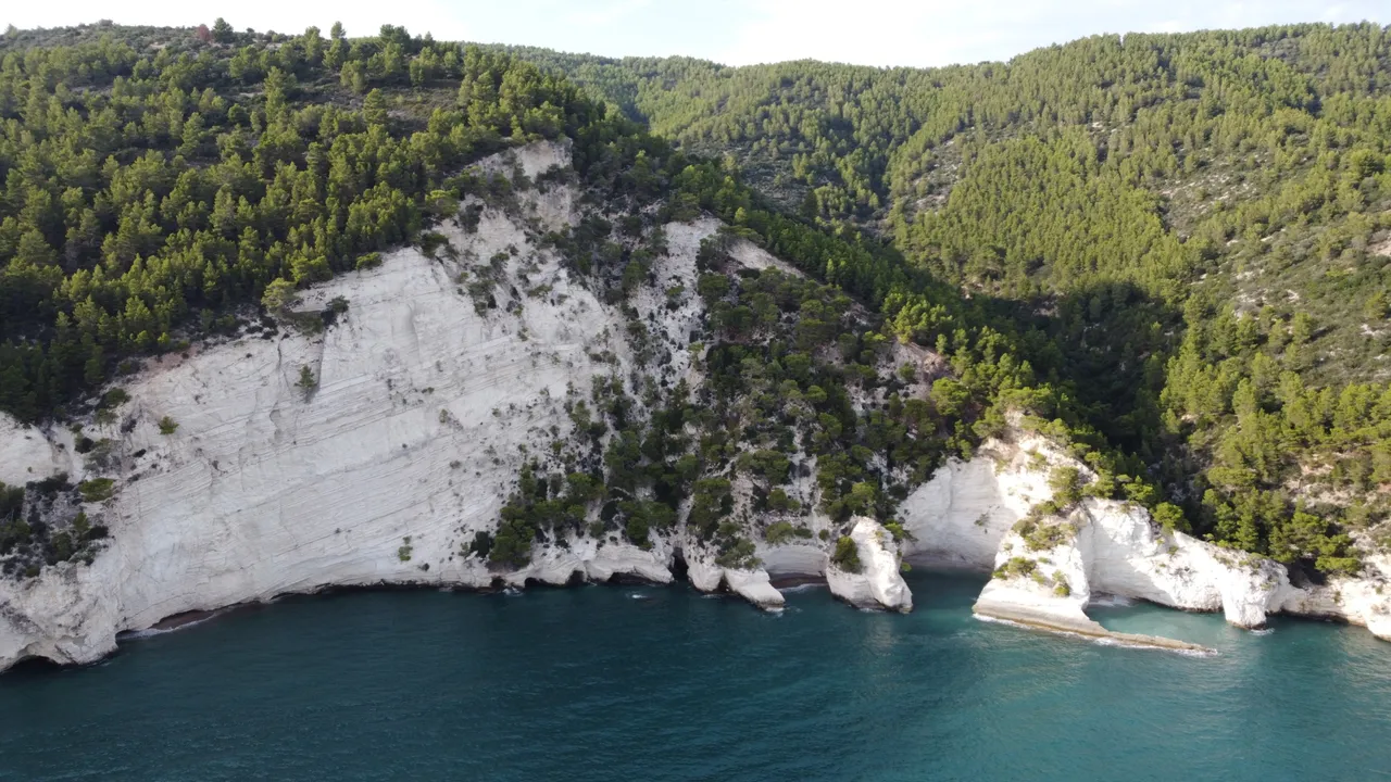 DJI_0331.jpeg