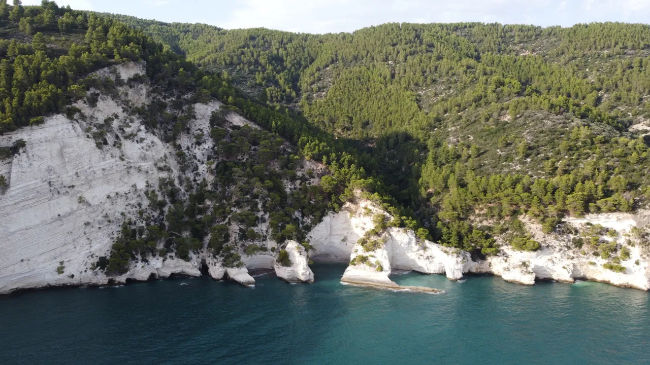 DJI_0332.jpeg
