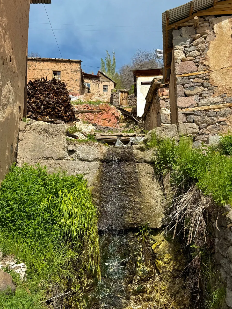 IMG_1532.jpeg
