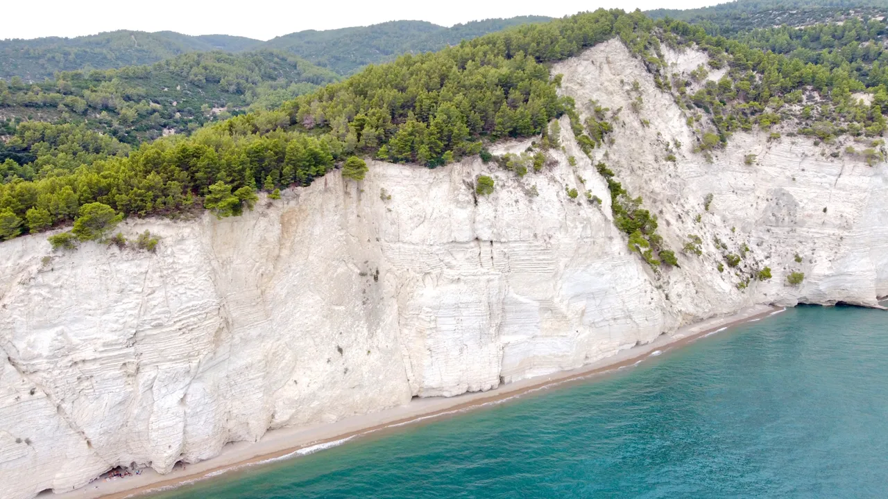 DJI_0247.jpeg