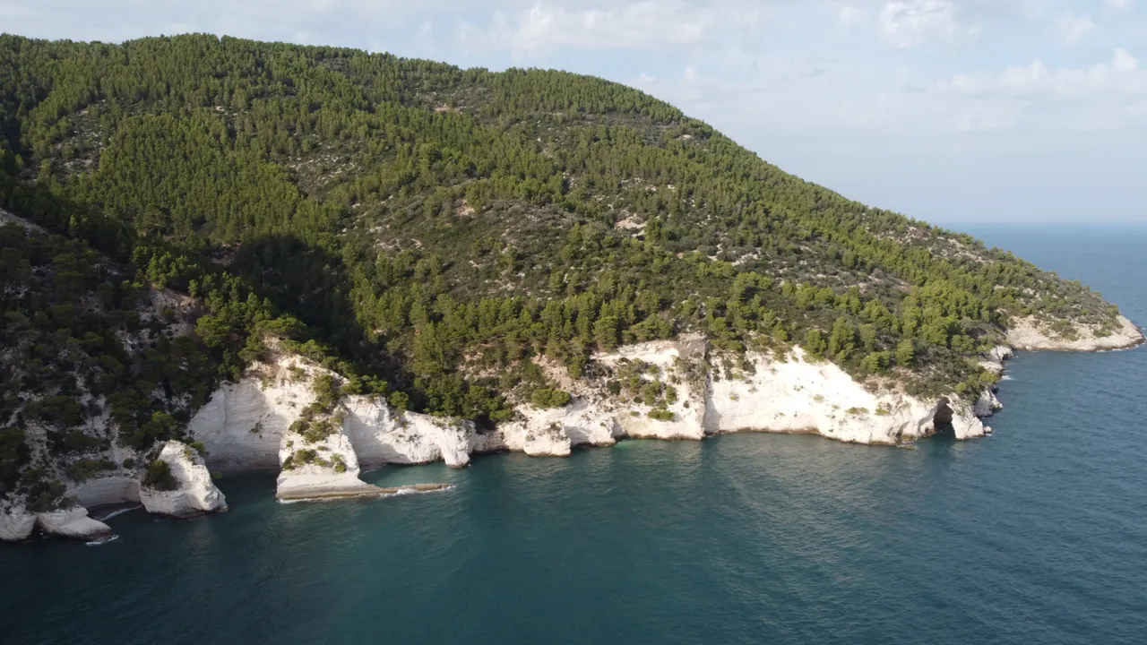 DJI_0327.jpeg