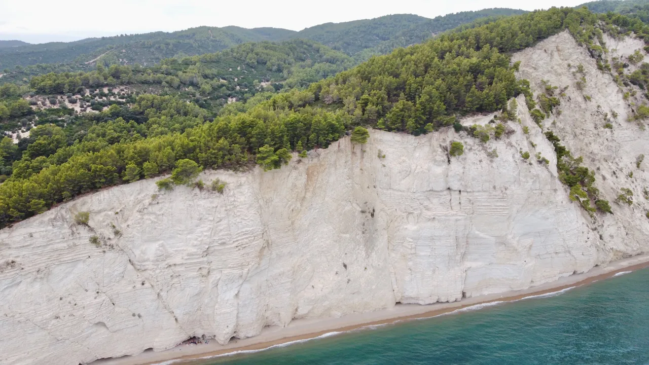 DJI_0245.jpeg